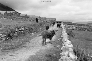 Neil O Lochlainn &amp; Cuar - &#039;Umhaill&#039; Album Launch