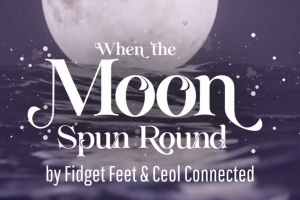 Aerial Performance: When The Moon Spun Round (Family Show)
