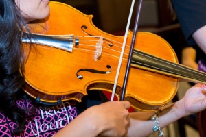 Irish Youth Baroque Orchestra Online Course 2023 | 1 – 2 July 2023